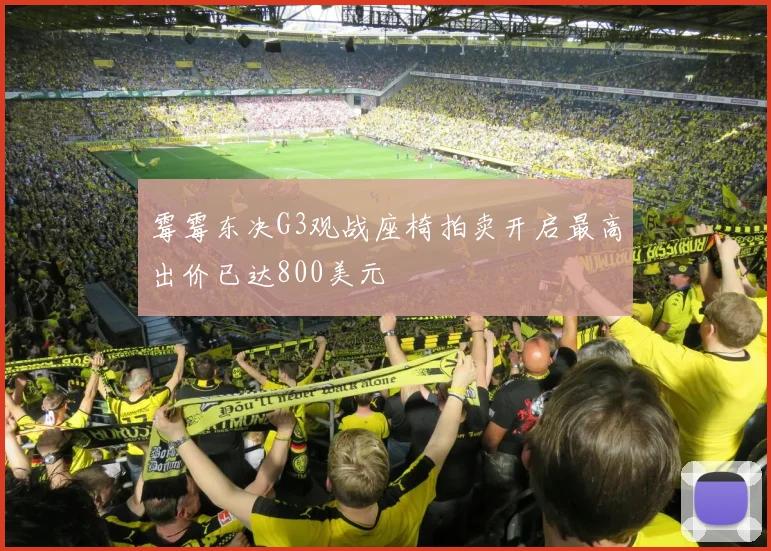霉霉东决G3观战座椅拍卖开启最高出价已达800美元
