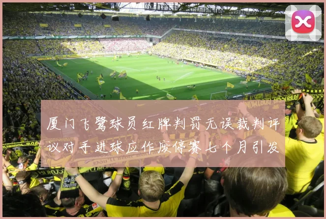 厦门飞鹭球员红牌判罚无误裁判评议对手进球应作废停赛七个月引发热议
